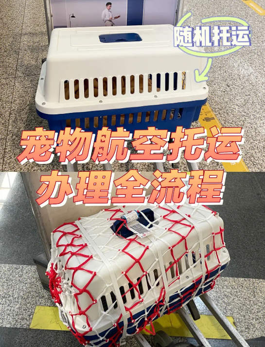 加拿大國際寵物托運(yùn)手續(xù)和托運(yùn)流程及注意事項(xiàng)