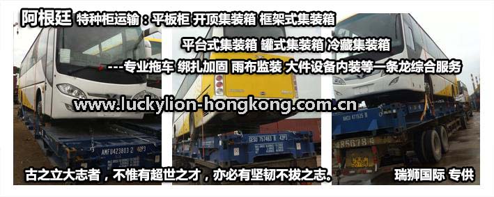 阿根廷貨貨運(yùn)代理 阿根廷國際物流公司  阿根廷進(jìn)出口報(bào)關(guān)公司 阿根廷國際貨運(yùn)代理有限公司