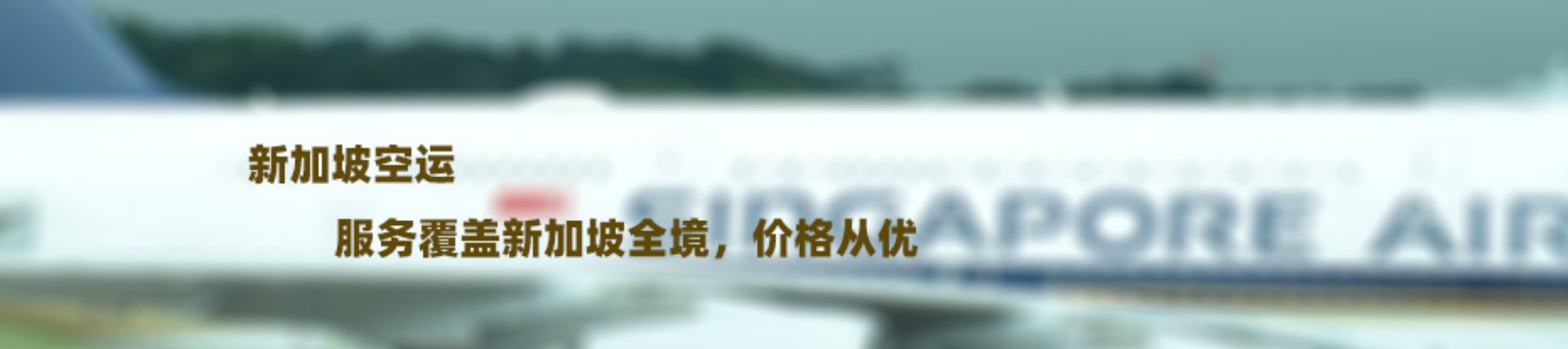 新加坡專線 新加坡海運船期查詢 新加坡空運貨物追蹤 新加坡?？章?lián)運雙清包稅門到門