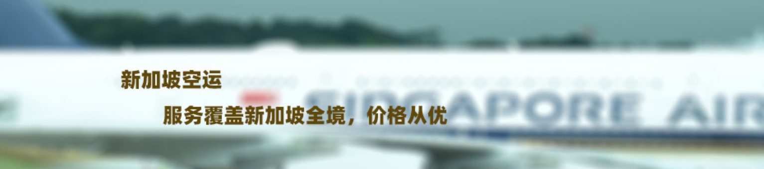 新加坡海運專線 新加坡空運價格 新加坡快遞查詢 新加坡?？砧F多式聯(lián)運國際貨運代理