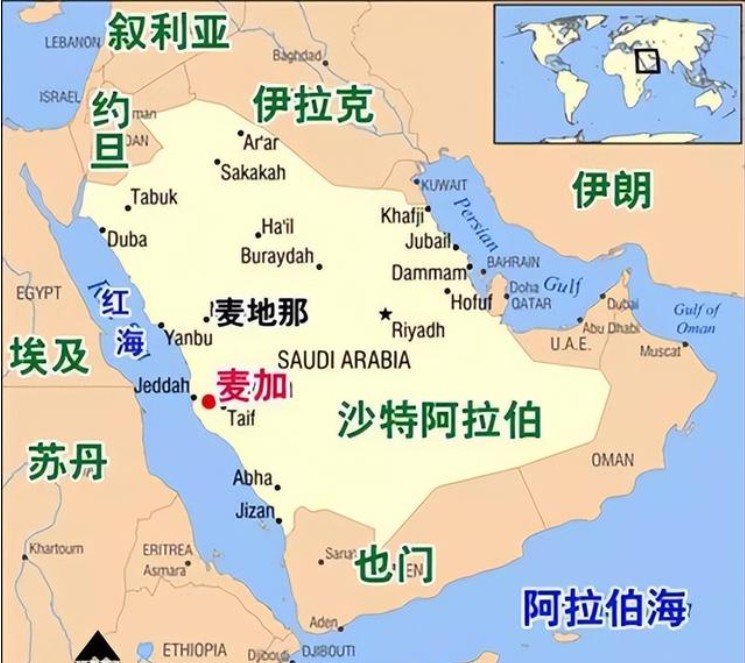 沙特專線 沙特海運(yùn)船期查詢 沙特空運(yùn)貨物追蹤 沙特?？章?lián)運(yùn)雙清包稅門到門