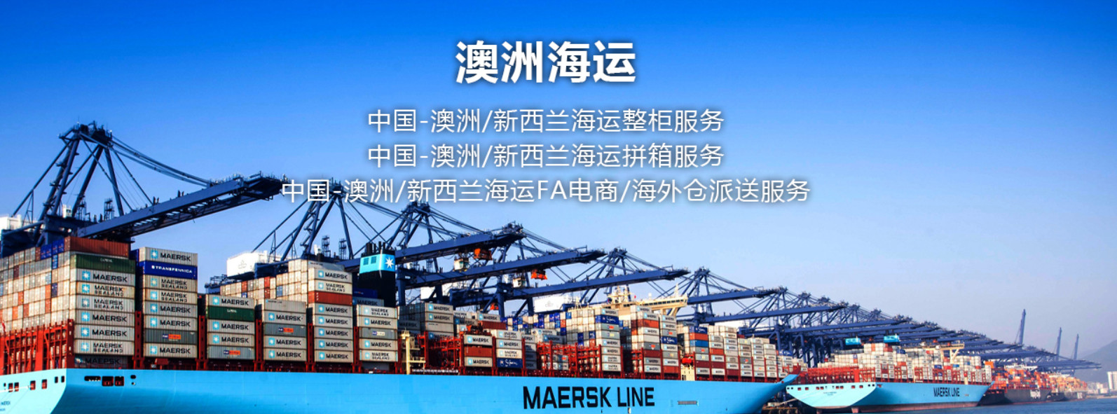 SINOTRANS 中外運  Sinotrans container lines co.,ltd. 中外運集裝箱運輸有限公司