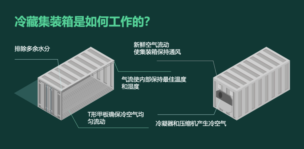 集裝箱冷柜如何運(yùn)作？冷藏集裝箱工作原理 冷凍柜制冷原理